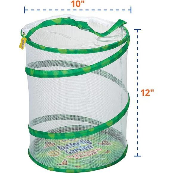 Amazon.com: Insect Lore Giant Butterfly Garden with Voucher  Butterfly Growing Kit - Butterfly Habitat Kit with Voucher to5 Caterpillars